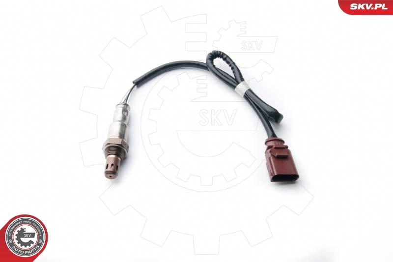 Oxygen Sensor